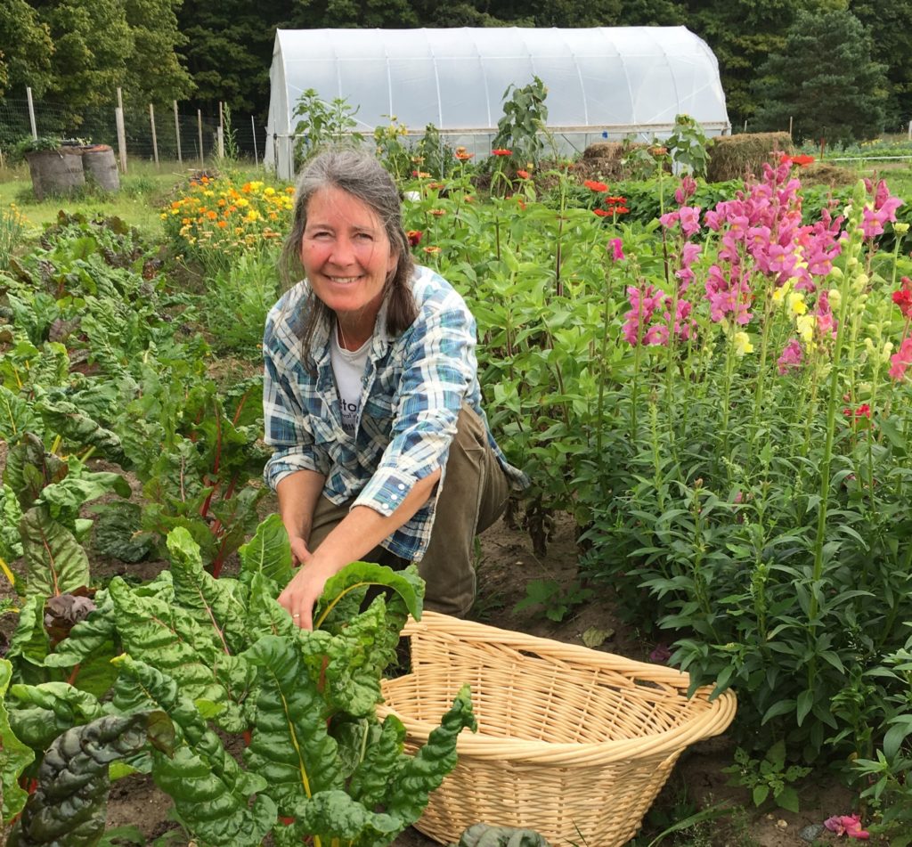 Pellston Public Schools, Pellston Farmers Market Embrace Local Food Economy
