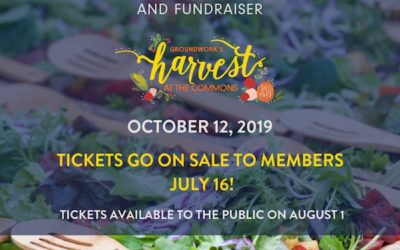 The Countdown to Harvest Tickets Is on!