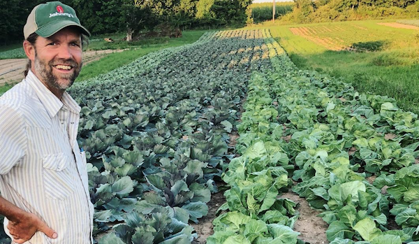 Groundwork Launches Local Food Relief Fund