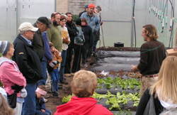 Our Voices – Tour de Plants