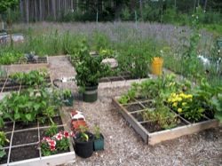Gardens Fed by Community