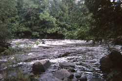 A U.P. Sulfide Mining Rush?