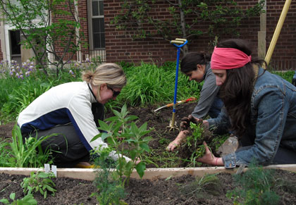Central Grade Youth Garden: A Planting Party