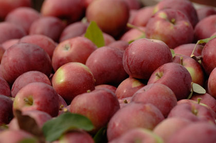 Cherry Capital Partnership To Provide Schools with Local Food