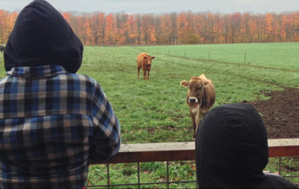 Fundraisers Benefit Northern Michigan Farms, Schools