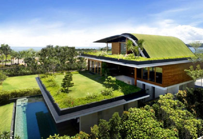 More Green Roofs for Michigan?
