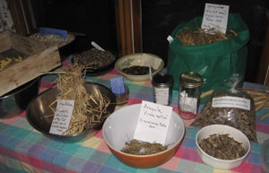 Our Voices: Get Farming! Workshops Off and Running