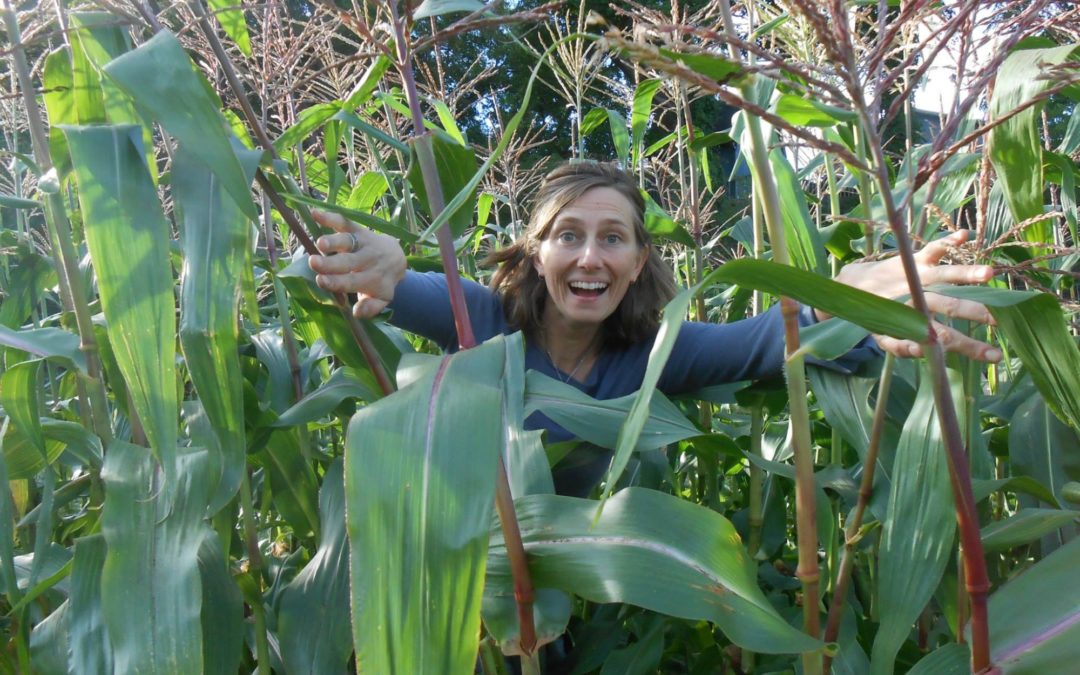 Groundwork hires Jennifer Schaap, expands into Northern Farms Foodshed