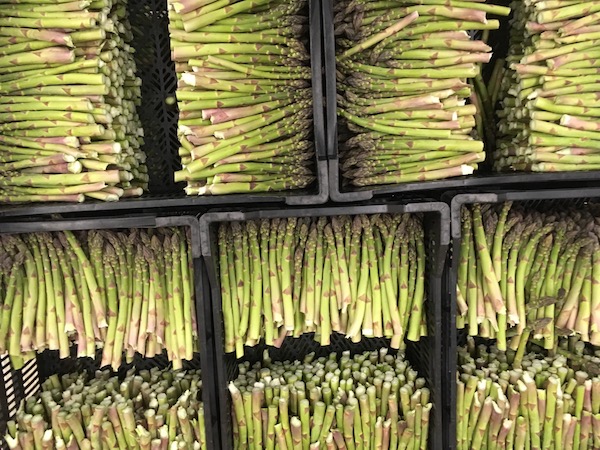 Food Access: The Farm to Neighbor Program Puts Healthy, Locally Grown Food on Pantry Shelves
