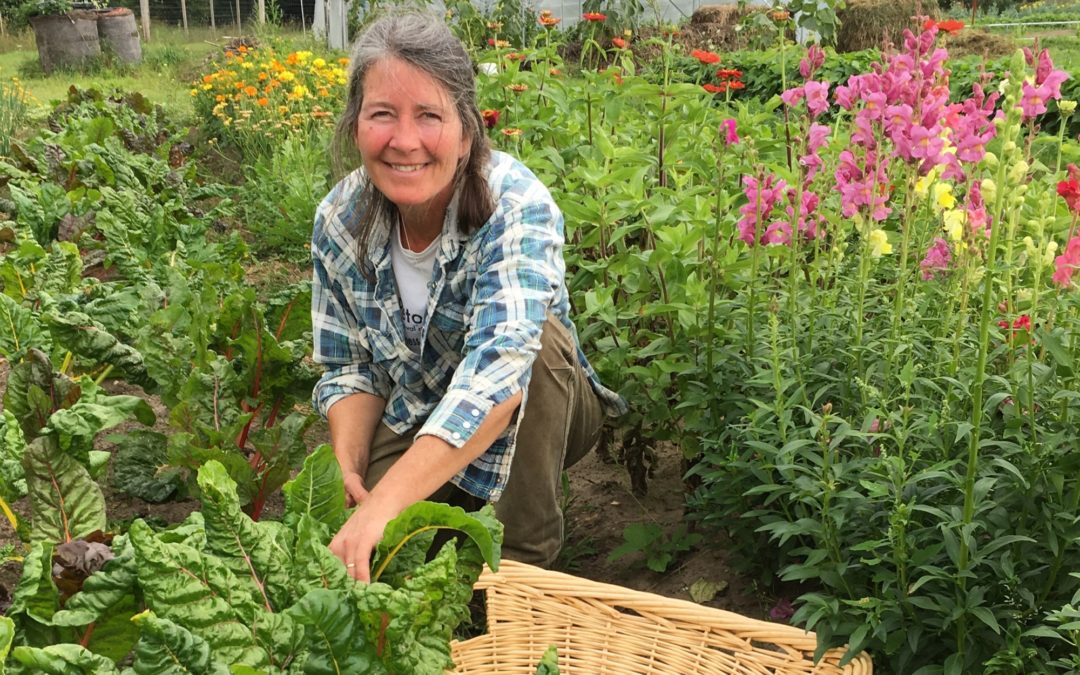 Pellston Public Schools, Pellston Farmers Market Embrace Local Food Economy