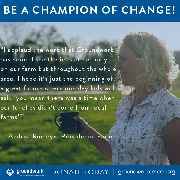 Testimonials from Groundwork’s Champions of Change