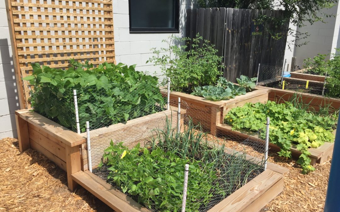 Building the Local Food Economy for All
