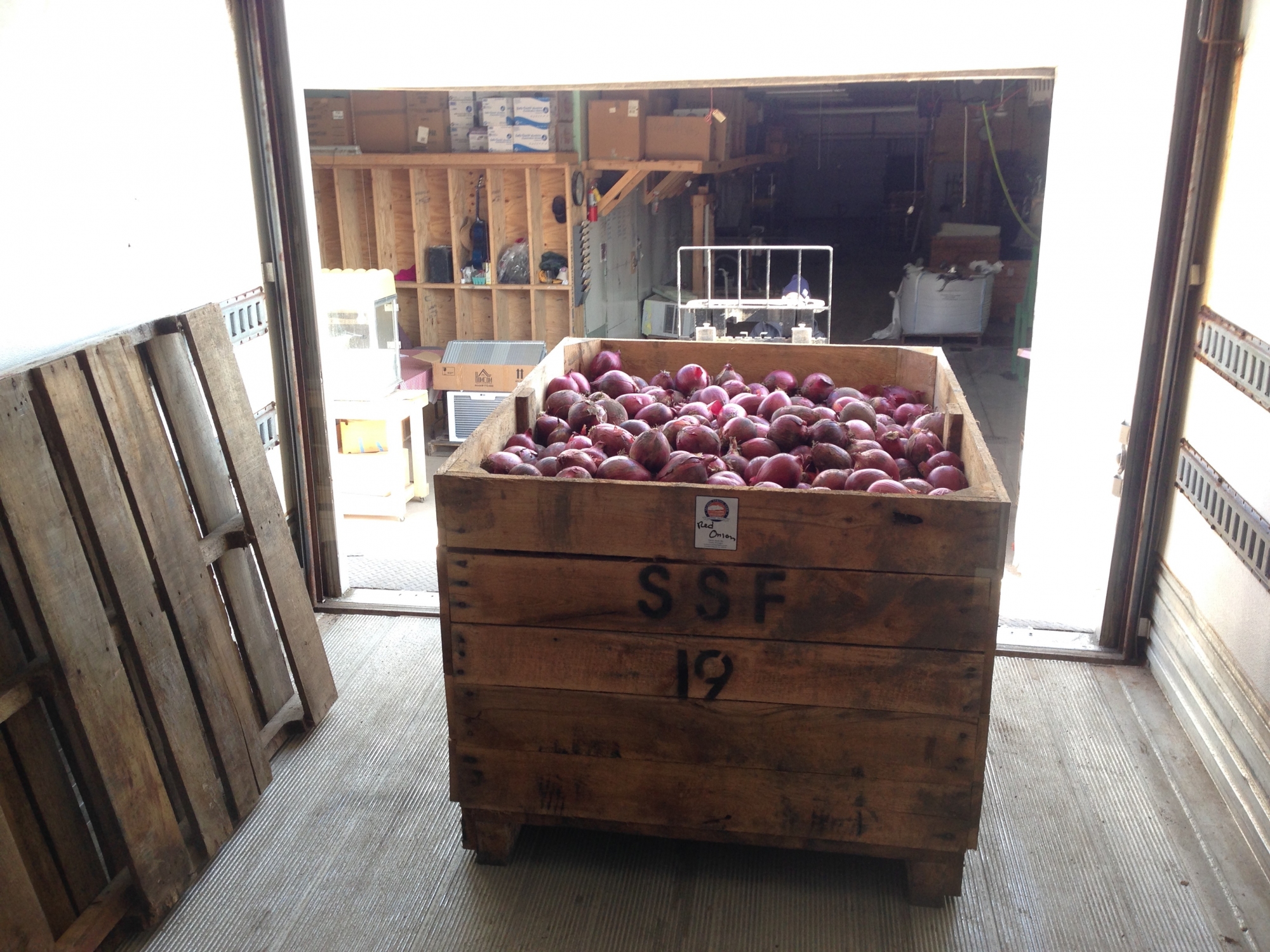 Box of onions from Second Spring Farm
