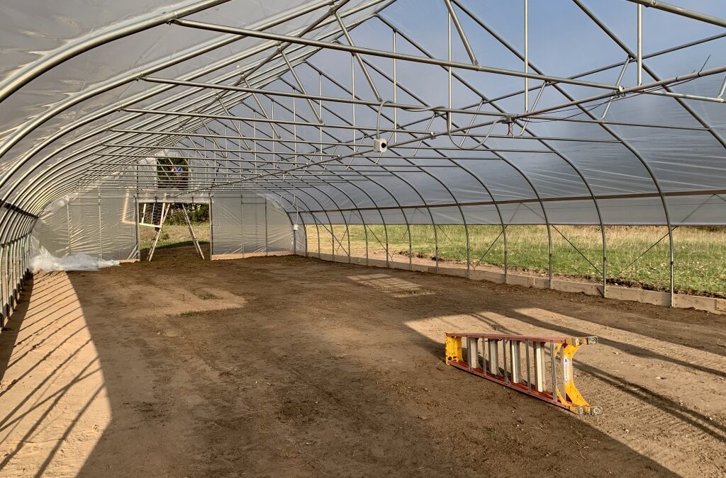 New Farm to School Jobs Boosting Local Food Culture