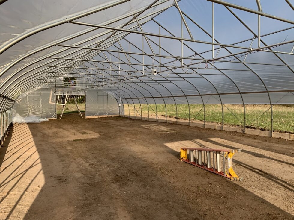 New Farm to School Jobs Boosting Local Food Culture | Groundwork Center