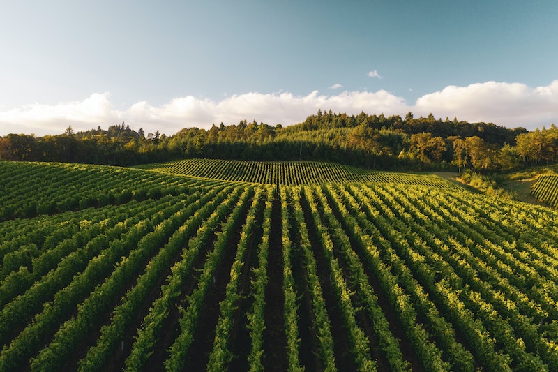 Combatting Farm Stress