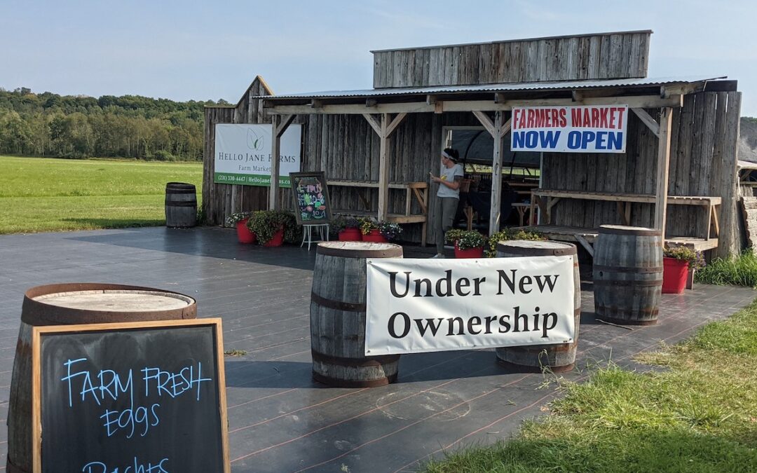 Boosting Local Food Momentum, One $2,000 Grant at a Time