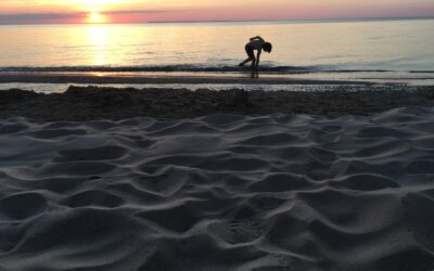 Michigan’s Fork-in-the-Road Climate Moment