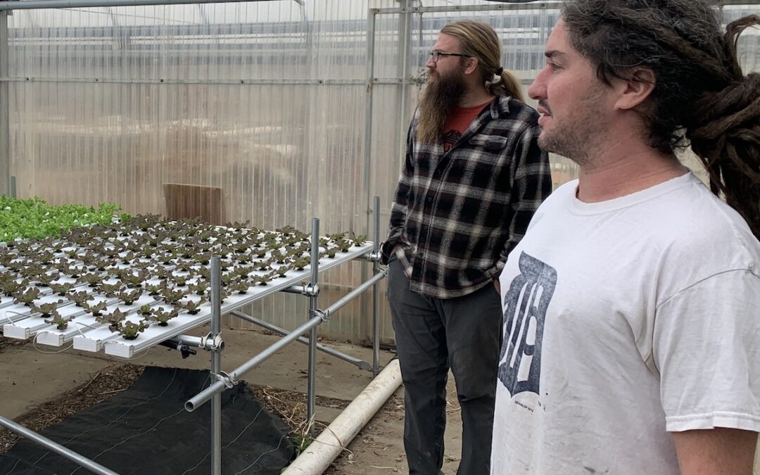 OKEMOS’S BLUE MITTEN FARMS JUMPS INTO CAPITAL REGION’S FARM TO SCHOOL MARKET