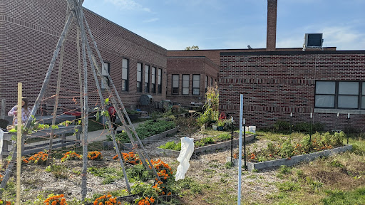 From Seed to Salad, Let’s Get Growing