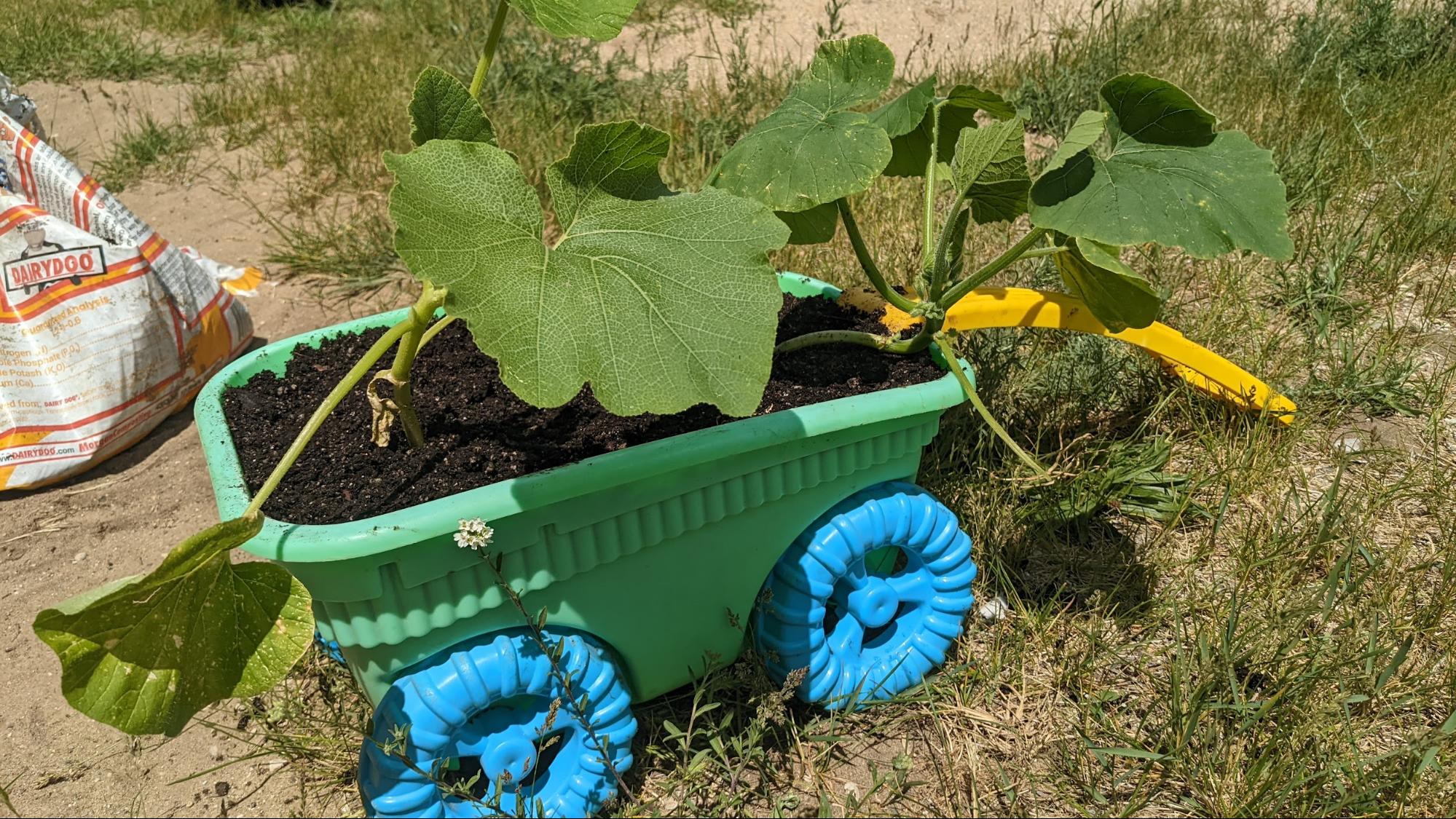 Groundwork Helps Kalkaska Kids Reconnect To And Grow Their Own Food Groundwork Helps Kalkaska Kids Reconnect To And Grow Their Own Food