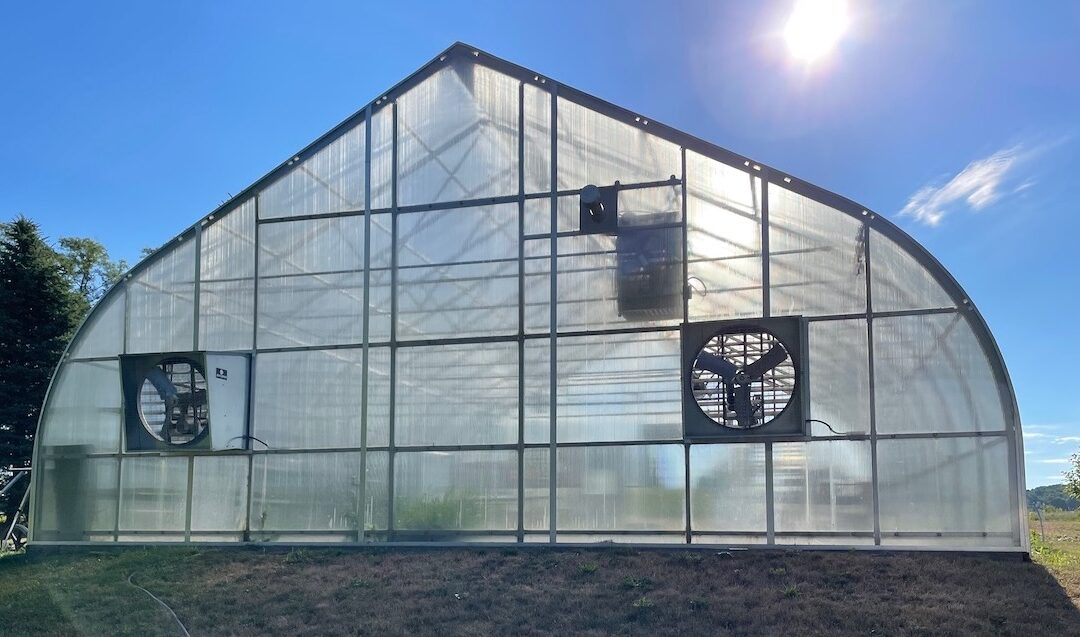 Agriculture Forum: Thankful for Farm2Neighbor