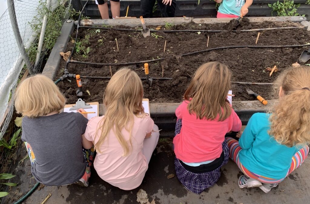 Greenhouse, Garden, Classroom, Cafeteria … FoodCorps Folk Are Busy