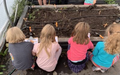 Greenhouse, Garden, Classroom, Cafeteria … FoodCorps Folk Are Busy