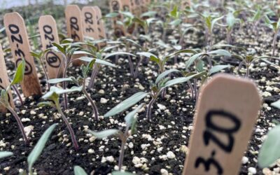 Urban Farmer and Policy Specialist Shares Thoughts on the MI Healthy Climate Conference
